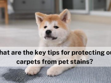 What are the key tips for protecting our carpets from pet stains?