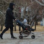 5 Crucial Things to Look for Before Renting Strollers