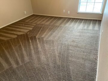Reasons To Hire A Professional Carpet Cleaning Company