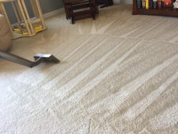 What Should You Know About Professional Carpet Cleaning