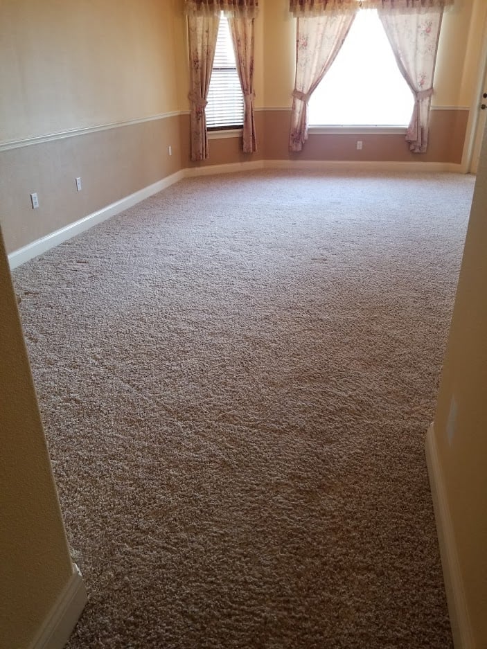 The Justification For Why Steam Carpet Cleaning Is Most Noticeable