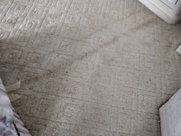 How does Steam Cleaning Impact Over The Carpet Mold?