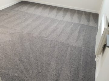 3 Advantages Of Steam Carpet Cleaning