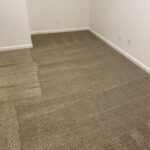 Importance Of Carpet Cleaning Every Year Twice