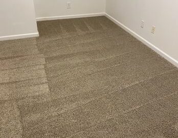 Importance Of Carpet Cleaning Every Year Twice