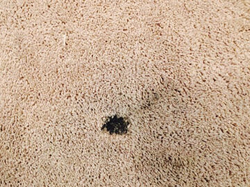 How Do Professionals Fix Your Carpet Without Having To Replace It?