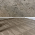 How To Remove Urine Odor And Stains From Carpet?