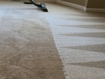 Simple Tips To Remove Stool Odour From CarpetsSimple Tips To Remove Stool Odour From Carpets