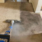 5 Best Ways To Maintain Your Rugs And Carpets