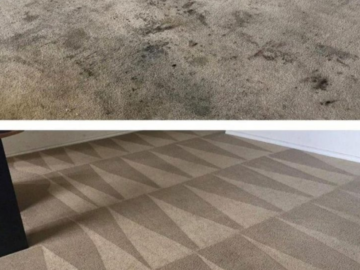 Carpet Cleaning canva