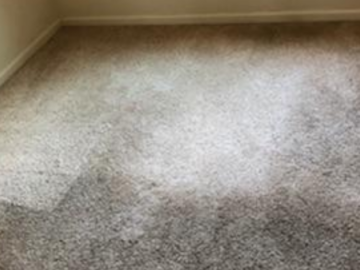 Carpet Cleaning cover