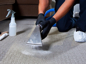 6 Benefits Of Utilizing A Specialist Carpet Cleaning Association