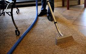 5 Motivations To Book A Specialist Carpet Cleaning