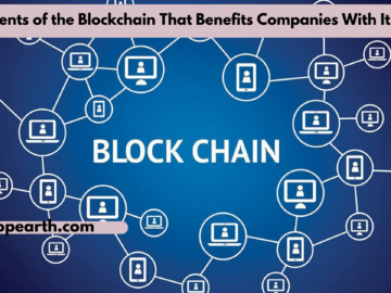 Elements of the Blockchain That Benefits Companies With Its Use