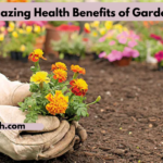 7 Amazing Health Benefits of Gardening