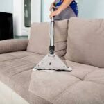 What Kills Dust Bugs From Upholstery Normally?