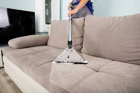 What Kills Dust Bugs From Upholstery Normally?