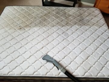 Obvious Indicators That Show That Your Mattress Has Molds