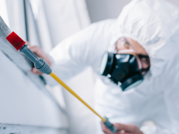 Guide To Hire Commercial Pest Control Services Quickly