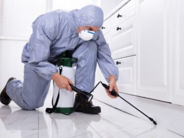Pest Control St Catharines