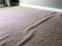 Why Is Stretching Carpet Important?