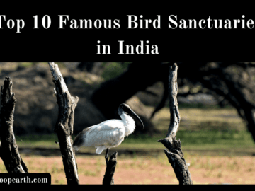 Famous Bird Sanctuaries in India
