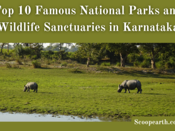 Famous National Parks and Wildlife Sanctuaries in Karnataka