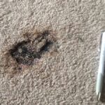 burnt carpet repair
