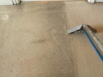 Professional Carpet Cleaning Vs. DIY: Who Is Best?