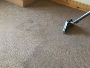 Best Carpet Steam Cleaning Company In Sydney