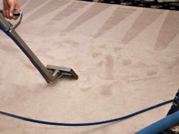 Learn Everything About Carpet Steam Cleaning