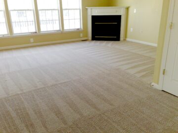 Do You Know These Things About Commercial Carpet Cleaning Services?
