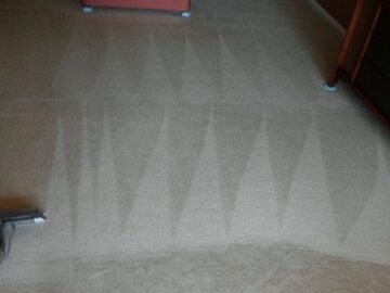 Proven Carpet Cleaning Methods that Bring back the life of Your Carpets