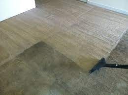 carpet cleaning65 1