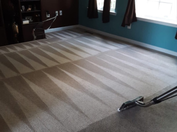 Steps To Get Pet Urine Stains Out Of Carpet
