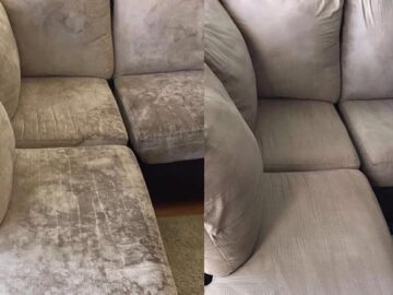 Meet the Specialists of Couch Cleaning in Sydney