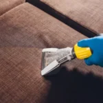 Keep Your Sofa Virus Free With Upholstery Cleaning