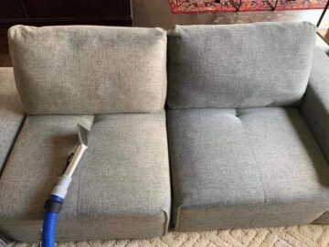 How To Clean Upholstery After Your Pet Has An Accident On It?