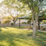 How To Create A Yard That Is Safe And Beautiful For You And Your Pets?