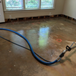 A Speedy Aide For Carpet Water Reclamation