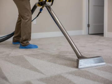Tips To Keep Carpet Safe From Stubborn Pet Stains