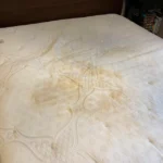 Why Should You Disinfect The Sleeping mattress?