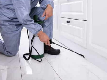 Things Required For Effective Pest Control
