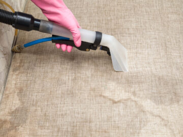 Tips on How to Save on Upholstery Cleaning Cost