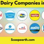 Top 10 Dairy Companies in India