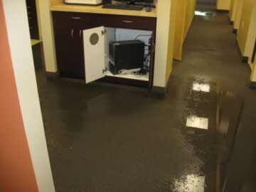 What Are The Steps To Take When You Detect Water Damage