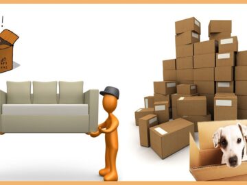Packers and Movers for Relocation
