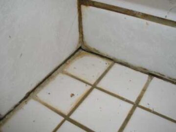 Shower tile and grout cleaning