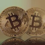Crypto Industry acts as a safe haven for scammers. 