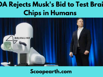 FDA Rejects Musk's Bid to Test Brain Chips in Humans 